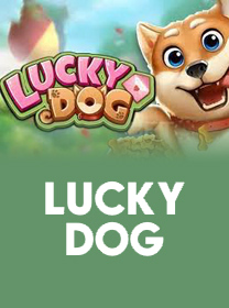 ZKKBET 🎯 Aposte em Slots Online e ganhe  第2张